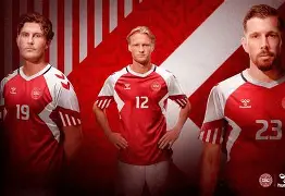 开云手机入口-丹麦欧洲杯比赛记录  第2张