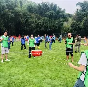 开云手机入口-团队配合默契，比赛节奏控制得当的简单介绍  第1张