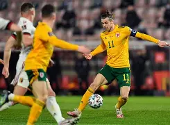 开云体育在线-比利时队在欧预赛中冲刺领先，胜出在望()  第2张