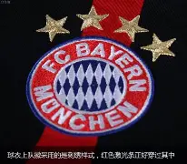 kaiyun app-拜仁慕尼黑新援亮相：强化球队备战()  第1张