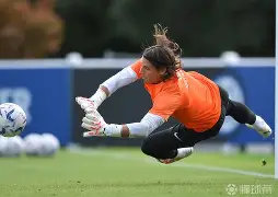 开云中国-亚洲足球俱乐部在洲际舞台上大放异彩()  第1张